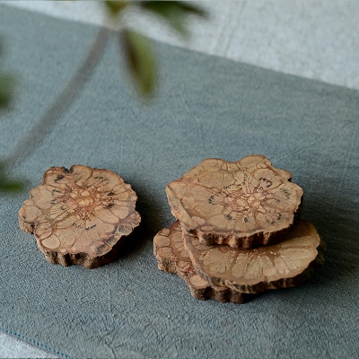 Dessous de Verres Tronc d'Arbre