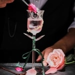 Verre Cocktail Rose