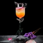 Verre a Cocktail Rose 1